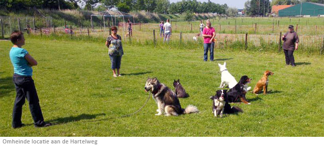 trainingslocatie Hondentraining Breda Hartelweg